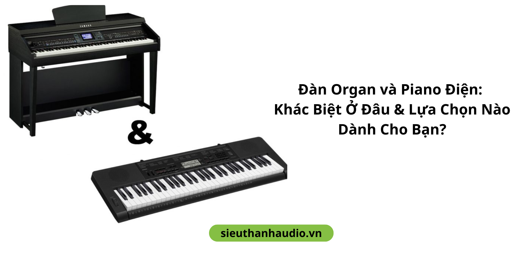 Đàn Organ và Piano Điện: Khác Biệt Ở Đâu & Lựa Chọn Nào Dành Cho Bạn?