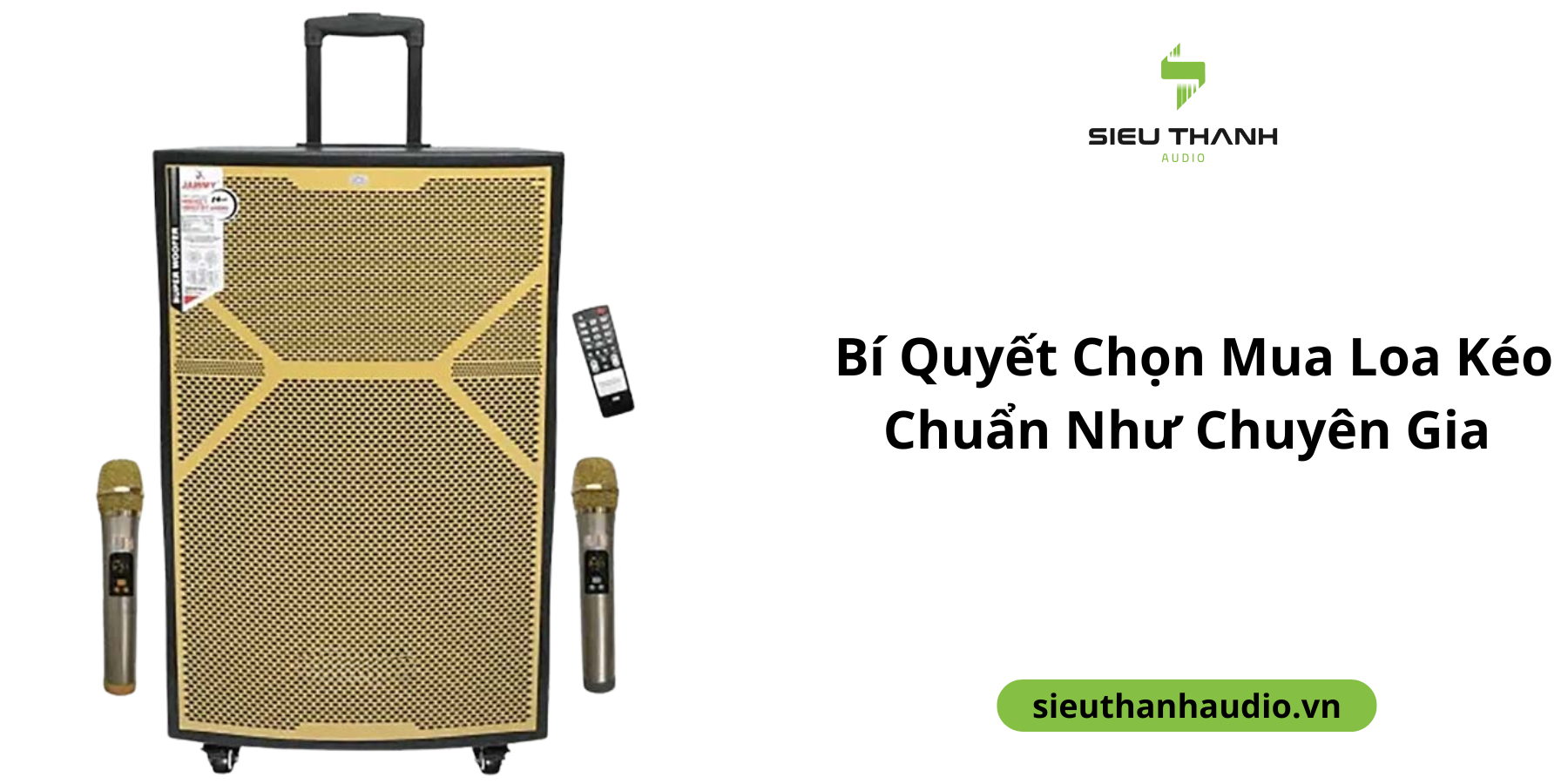 Giải Mã Sức Hút Của Loa Kéo: Bí Quyết Chọn Mua Chuẩn Như Chuyên Gia
