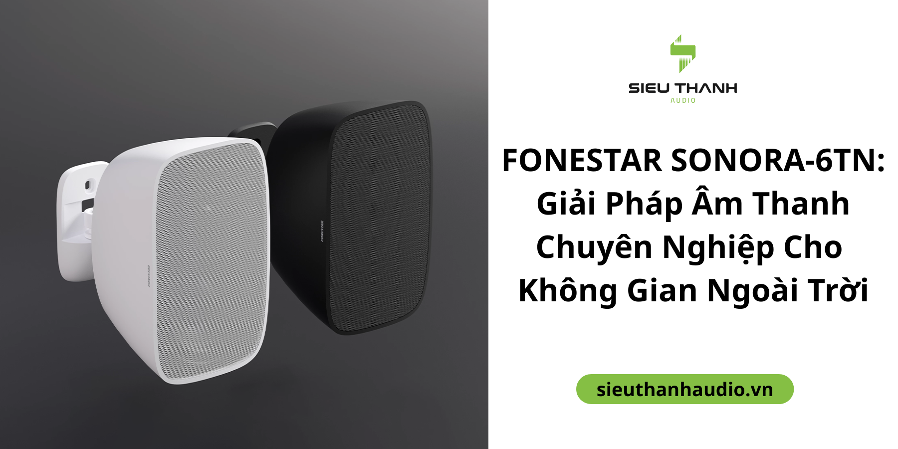 Loa FONESTAR SONORA-6TN: Giải Pháp Âm Thanh Chuyên Nghiệp Cho Không Gian Ngoài Trời