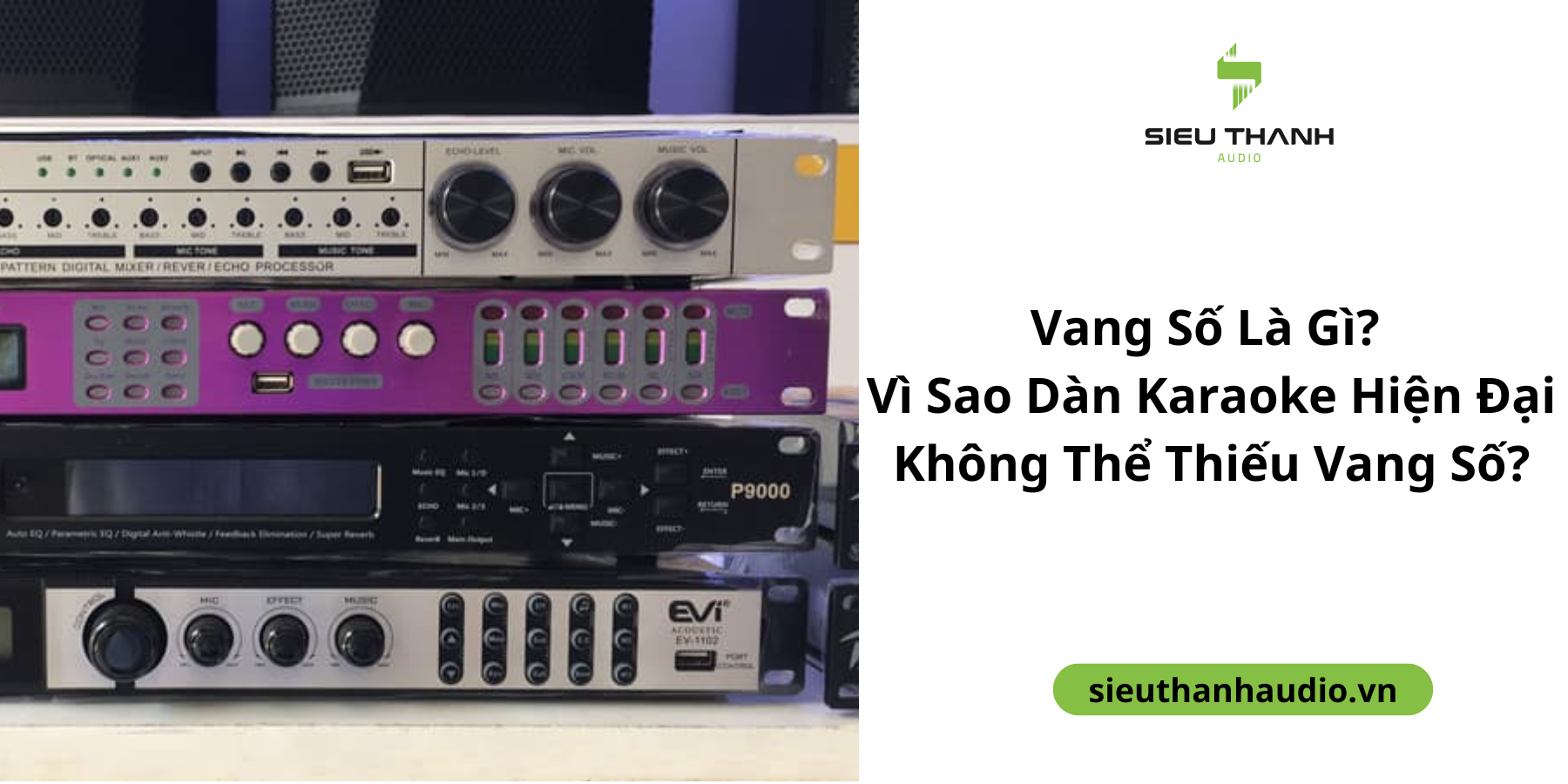 Vang Số Là Gì? Vì Sao Dàn Karaoke Hiện Đại Không Thể Thiếu Vang Số?