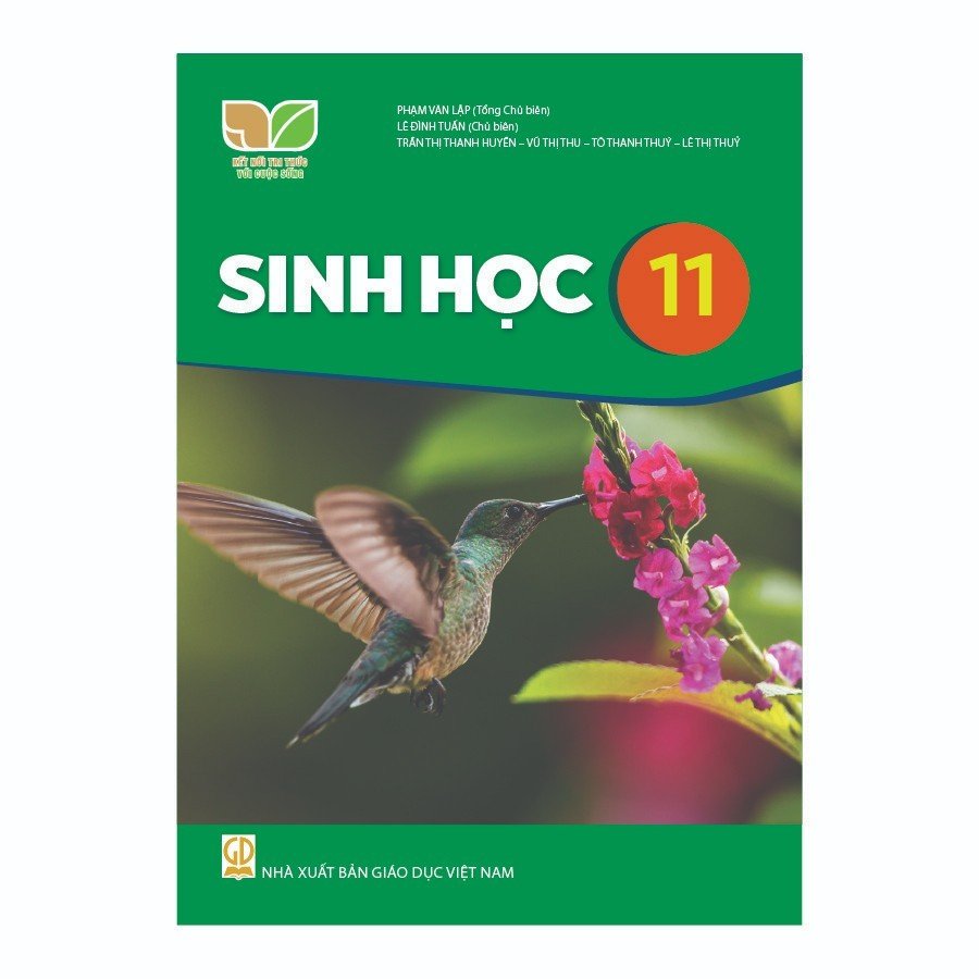 Sinh Học Lớp 11 (Kết Nối Tri Thức Với Cuộc Sống)