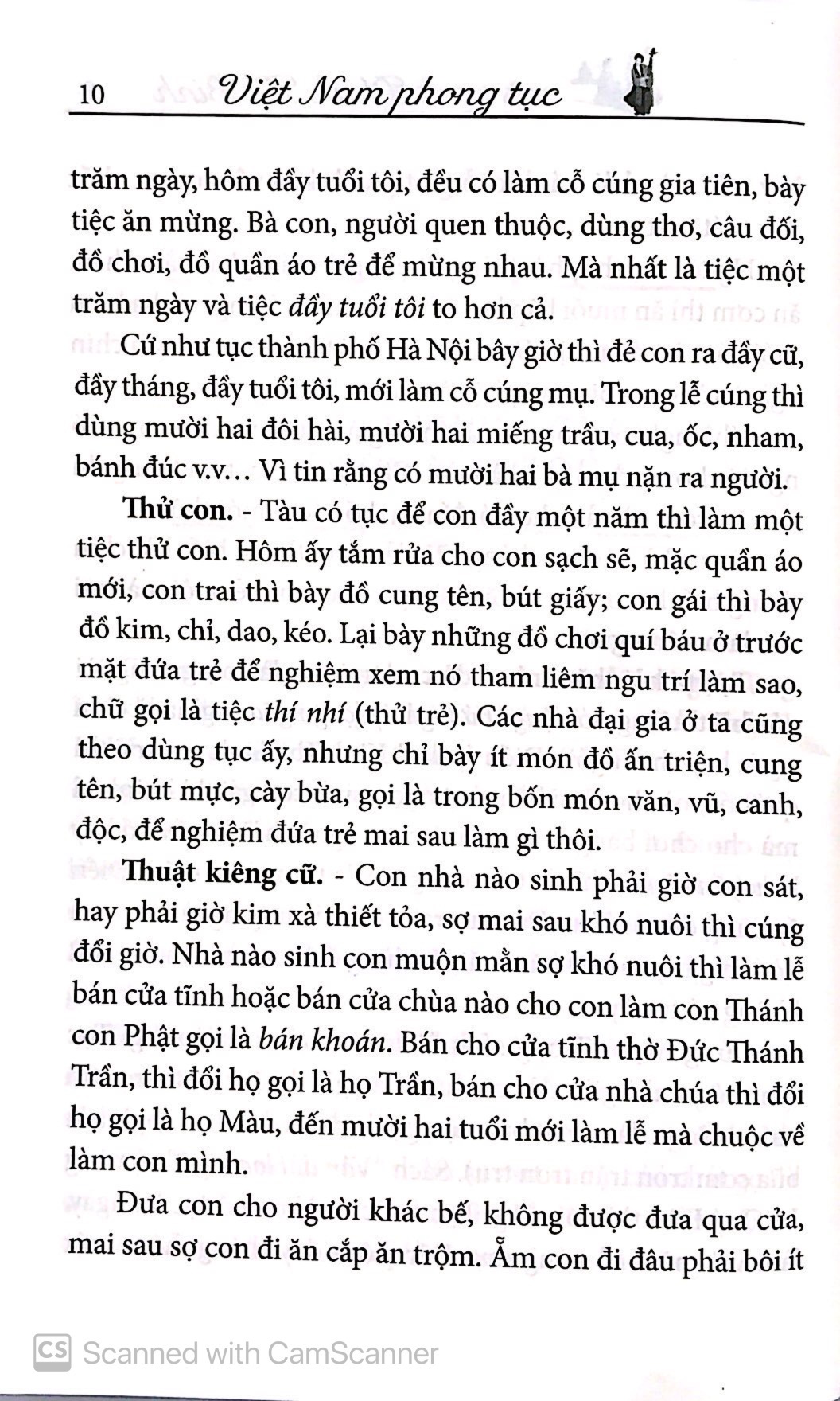 Việt Nam Phong Tục