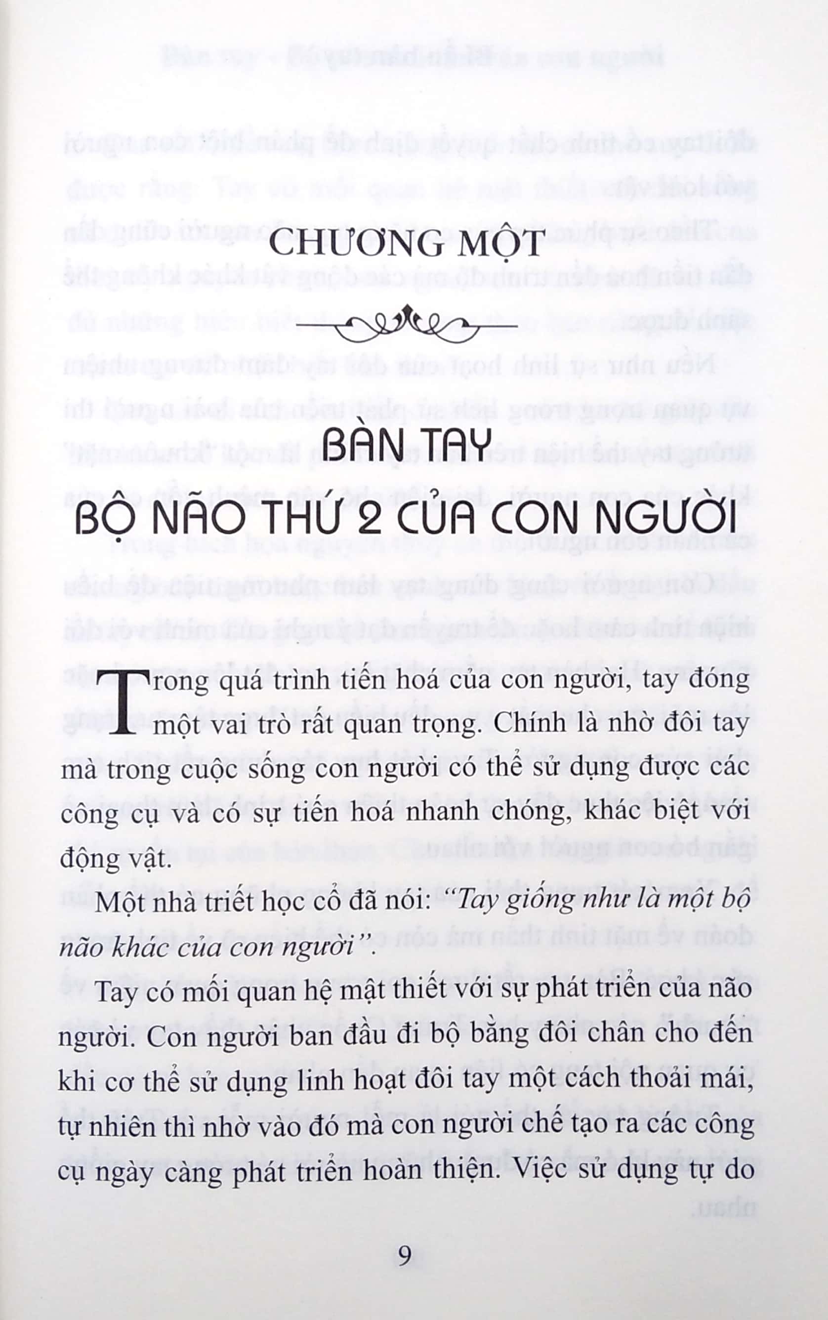Bí Ẩn Bàn Tay
