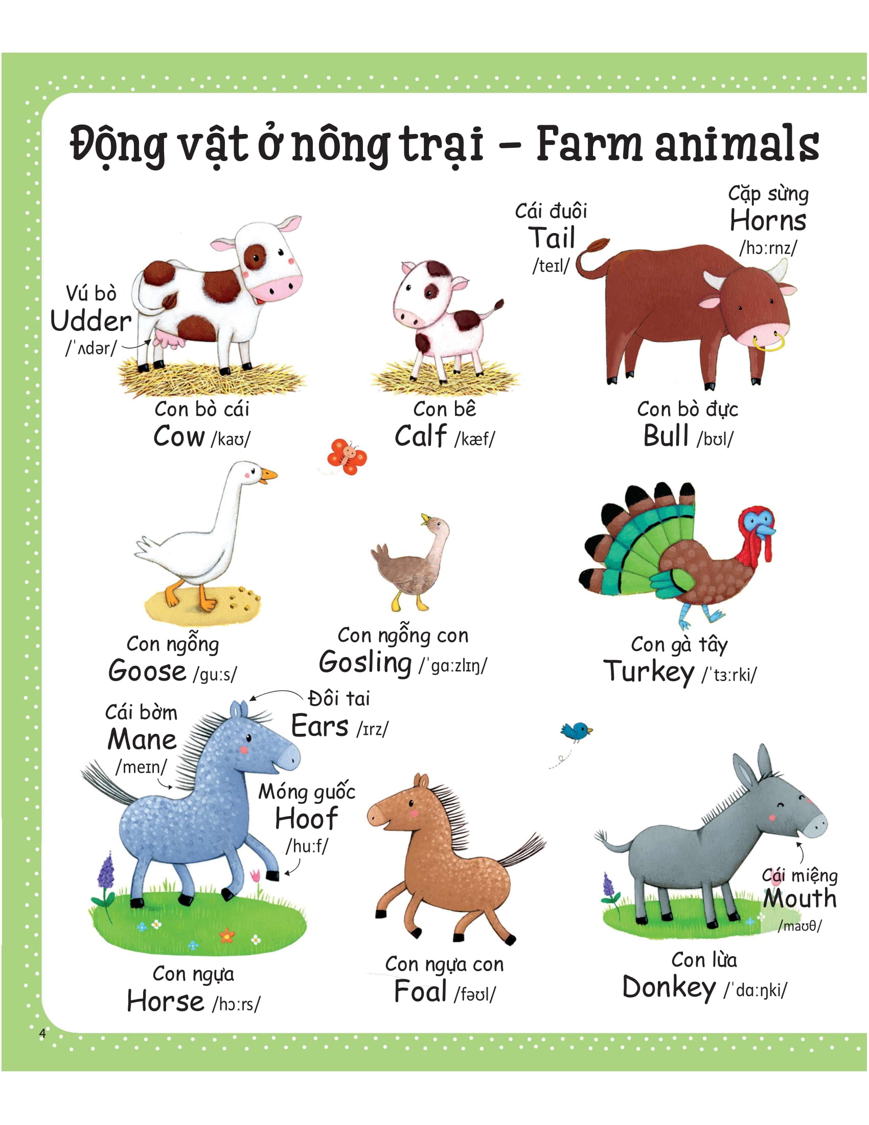 Cuốn Sách Từ Vựng Đầu Tiên Của Tôi My First Word Book Nông