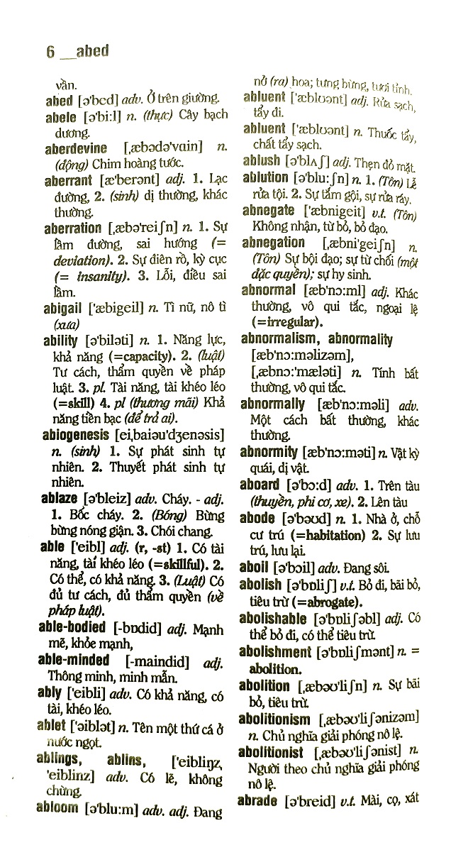 Từ Điển Anh Việt - Việt Anh (Anh Việt: 250.000 Từ, Việt Anh: 145.000 Từ)