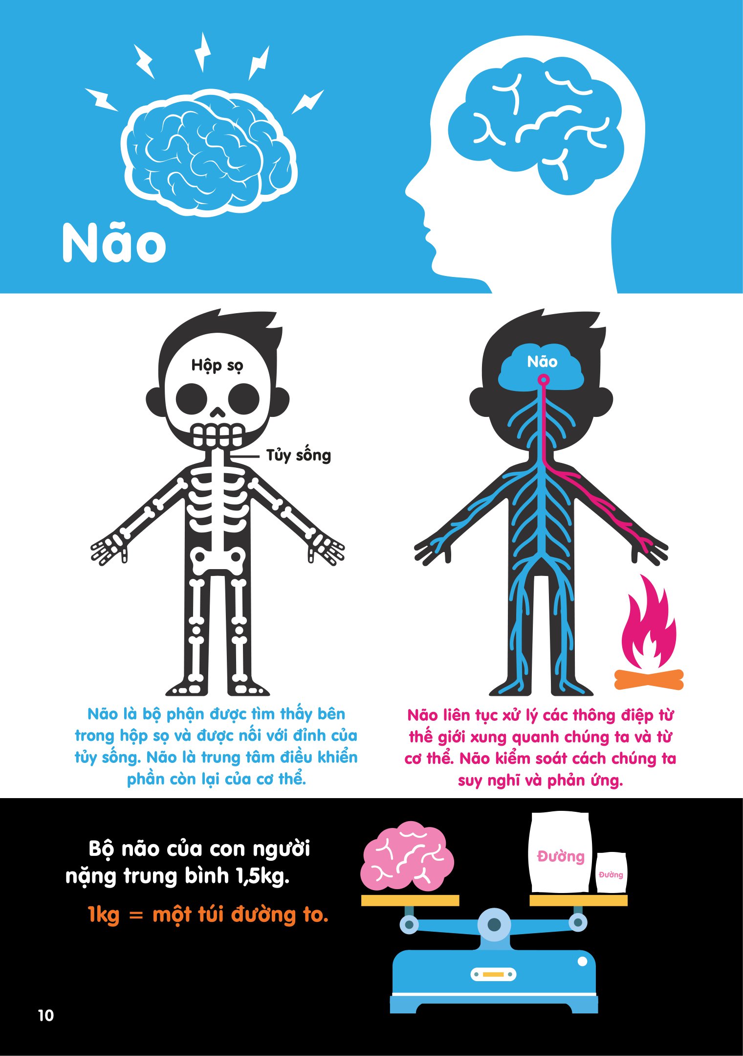 Infographics - Bách Khoa Tri Thức Bằng Đồ Họa Cho Trẻ Em - Cơ Thể Người