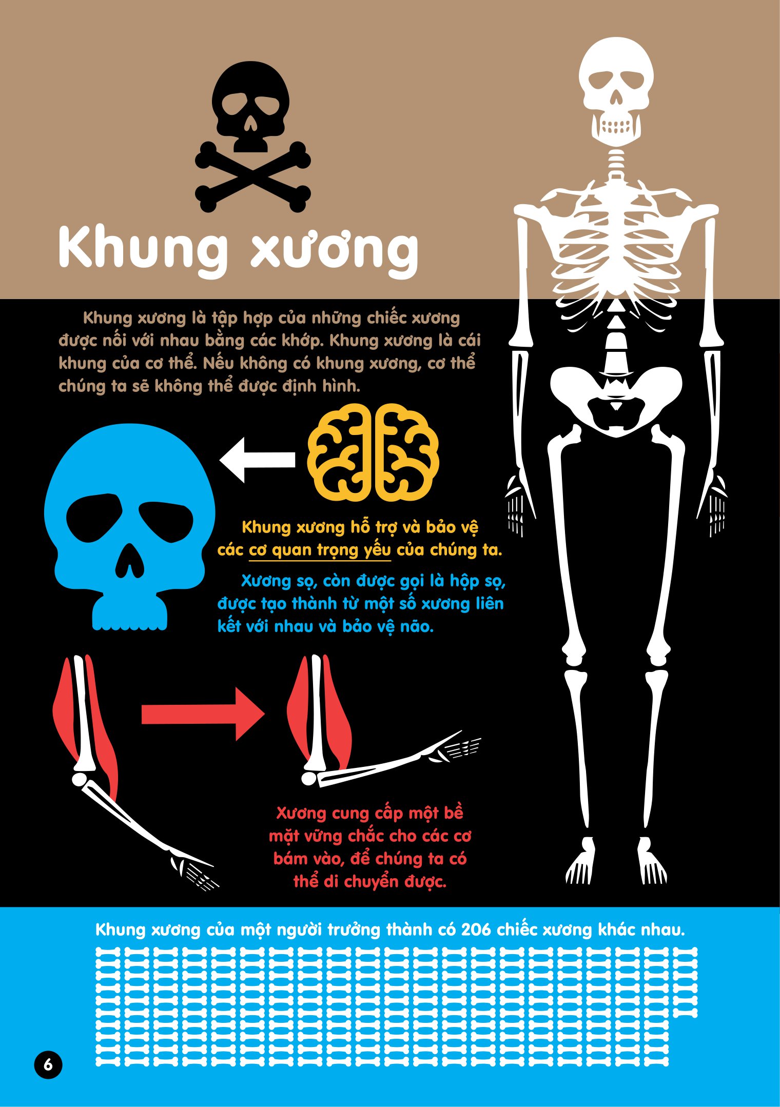 Infographics - Bách Khoa Tri Thức Bằng Đồ Họa Cho Trẻ Em - Cơ Thể Người