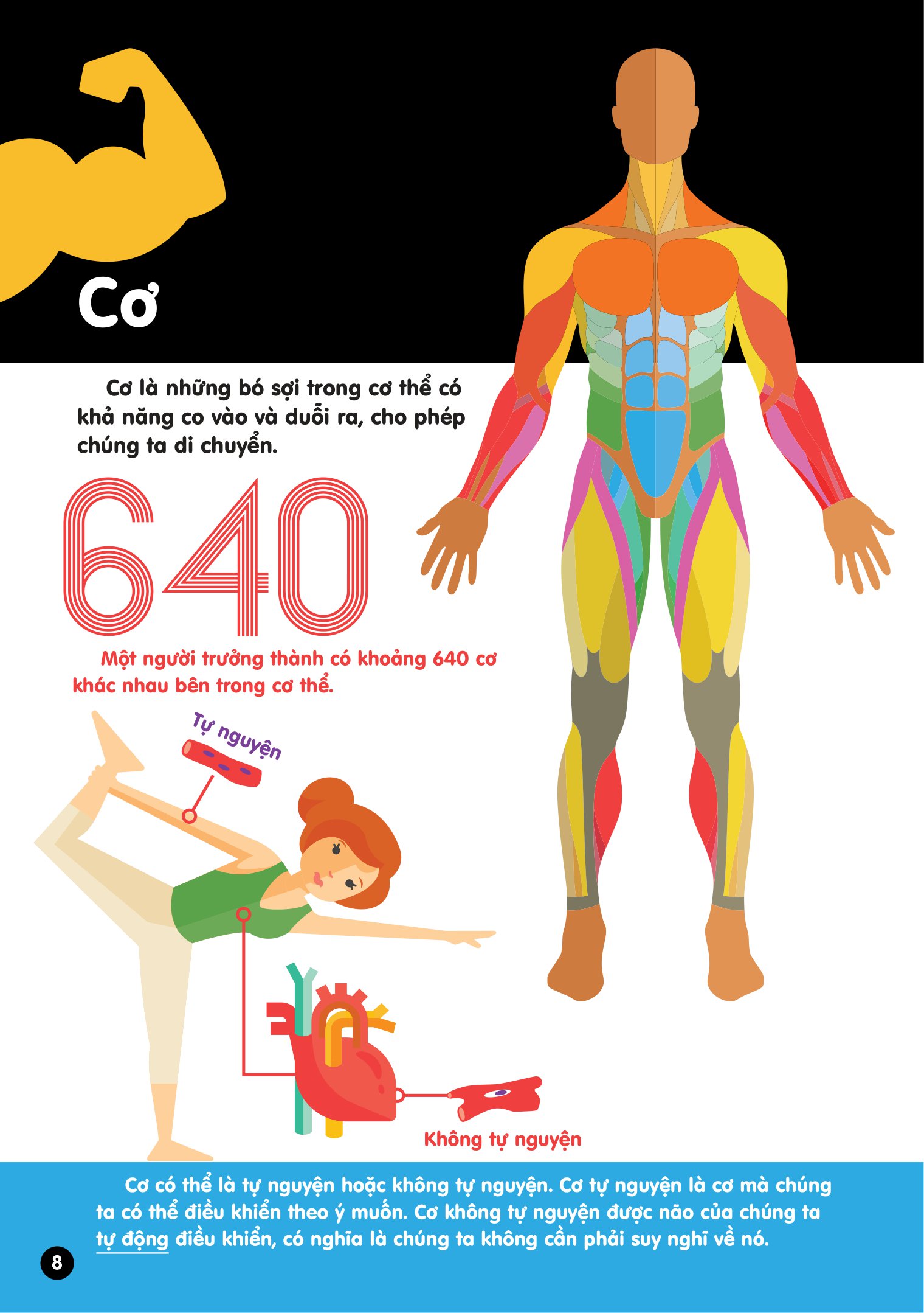 Infographics - Bách Khoa Tri Thức Bằng Đồ Họa Cho Trẻ Em - Cơ Thể Người