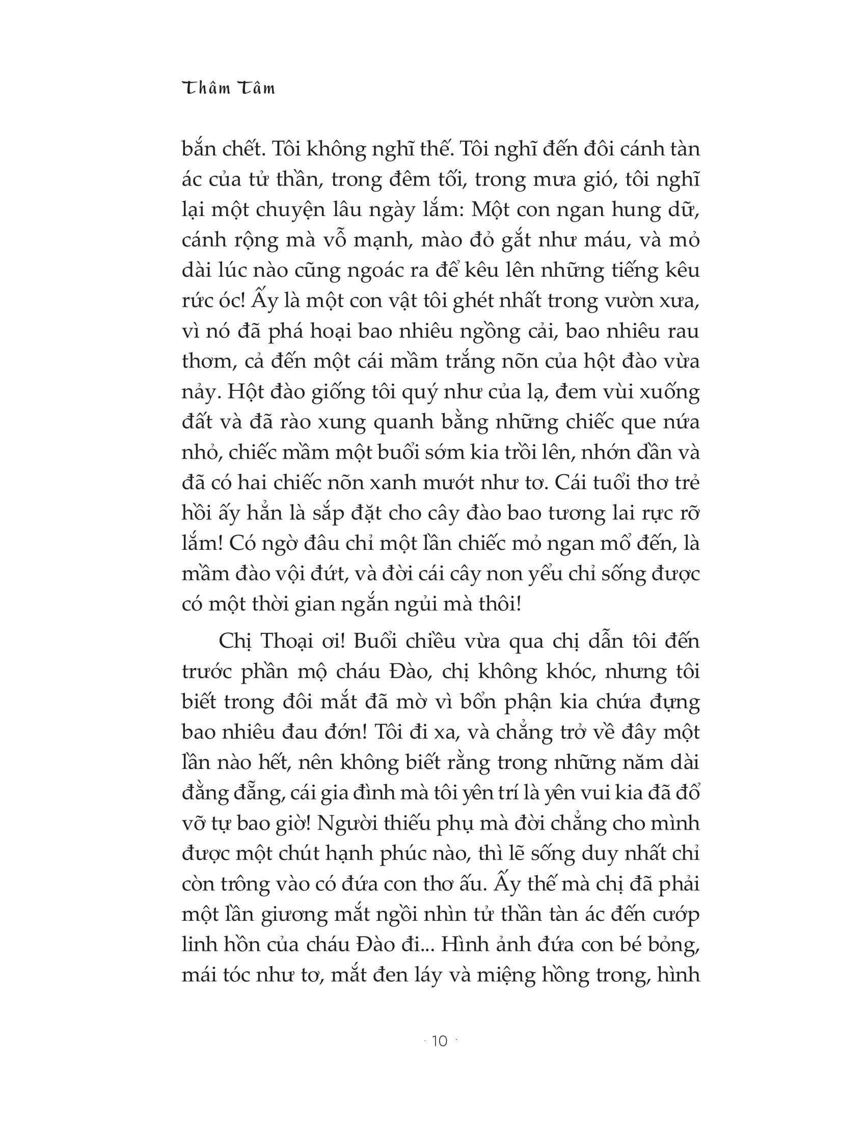 Gió Thu Hoa Cúc Gầy Rồi