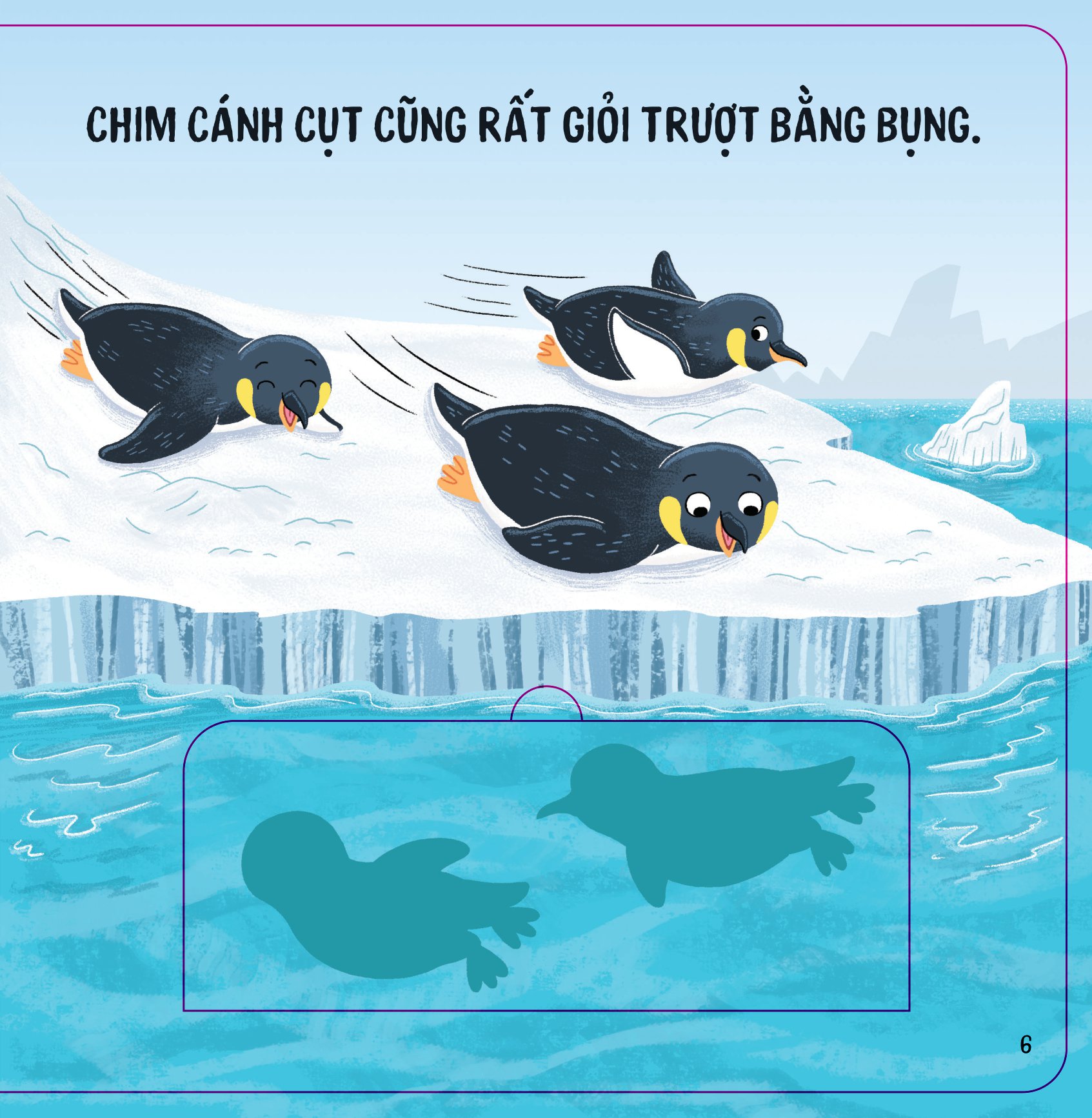Lift - The - Flap - Lật Mở Khám Phá - Thế Giới Động Vật