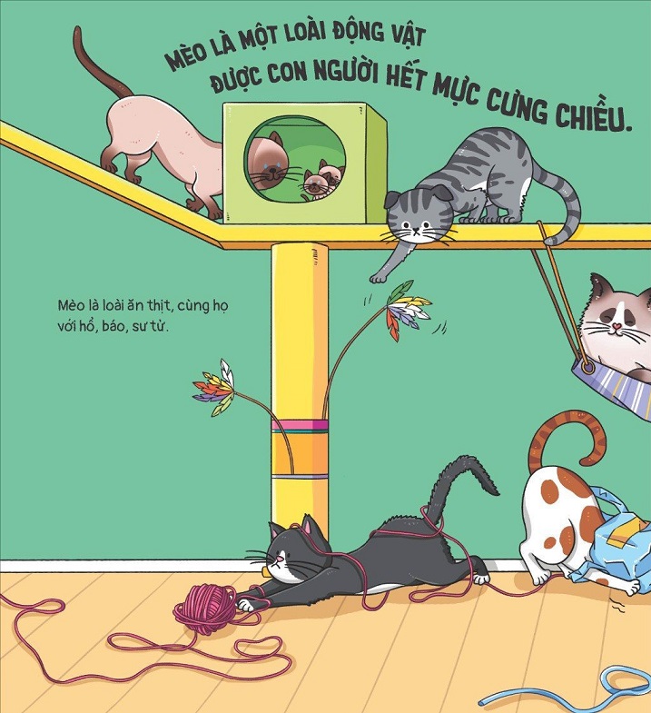 Thế Giới Động Vật - Mèo Có Đi Giày Nhảy Múa Không?