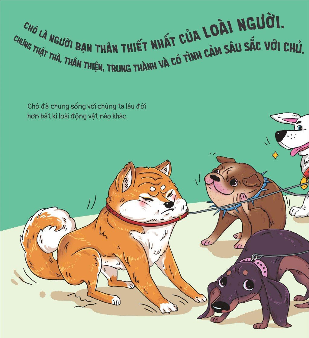 Thế Giới Động Vật - Chó Thích Tắm Suối Nước Nóng Không?