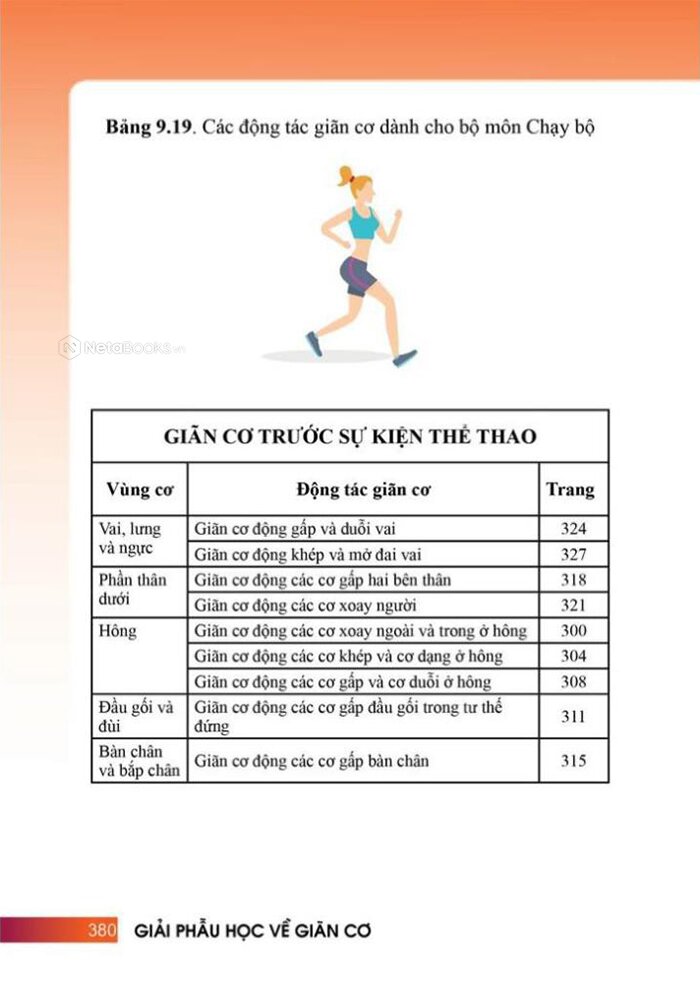 Giải Phẫu Học Về Giãn Cơ - Giãn Cơ Để Tối Ưu Sức Mạnh Cơ Bắp