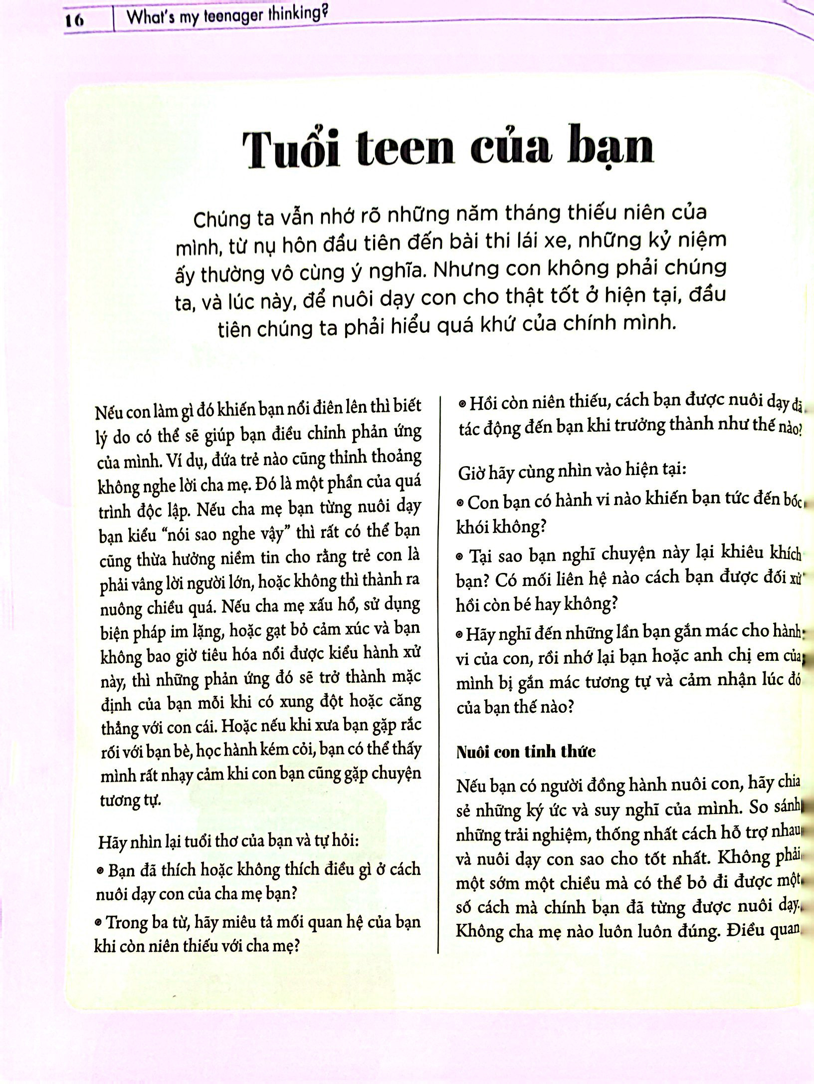 What’S My Teenager Thinking? Tâm Lý Học Trẻ Em Thực Hành Cho Cha Mẹ Hiện Đại - Tuổi Từ 13 Đến 18