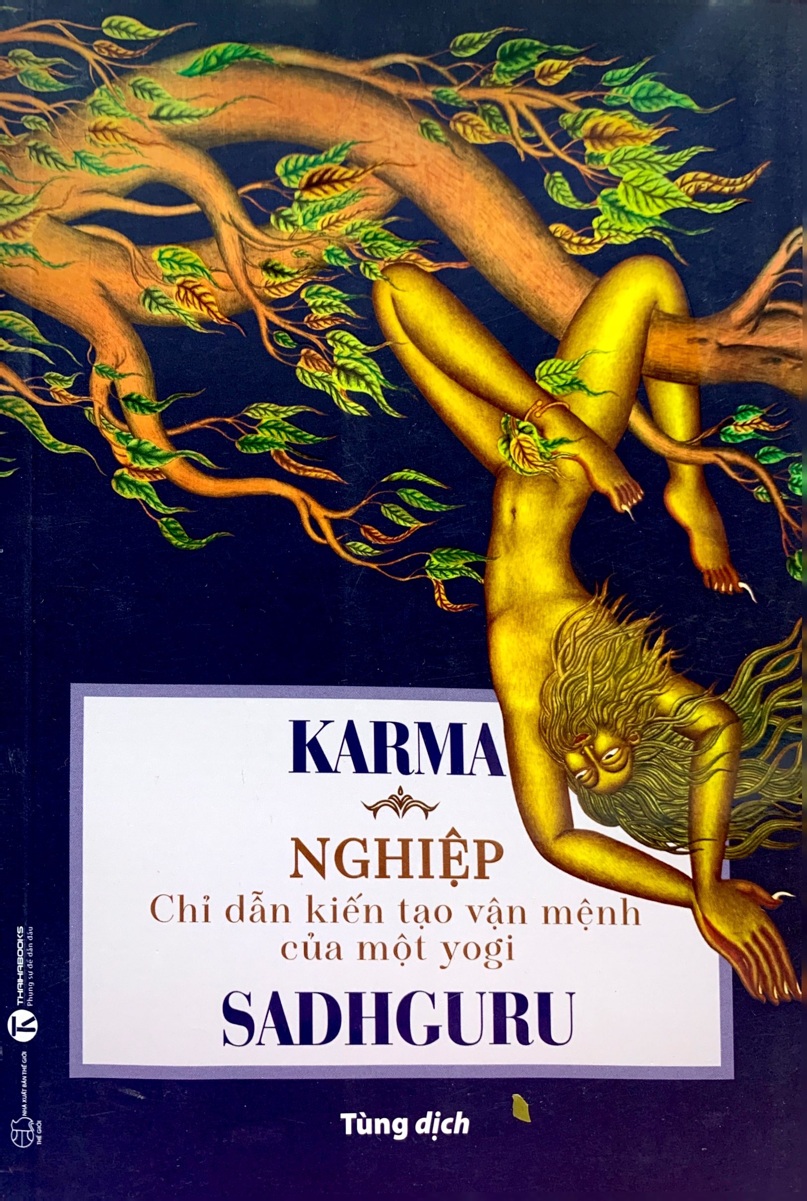 Karma - Nghiệp - Chỉ Dẫn Kiến Tạo Vận Mệnh Của Một Yogi