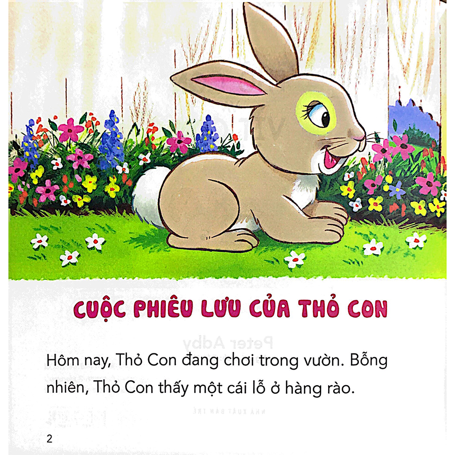 Những Câu Chuyện Tình Bạn - Thỏ Con Và Vịt Con