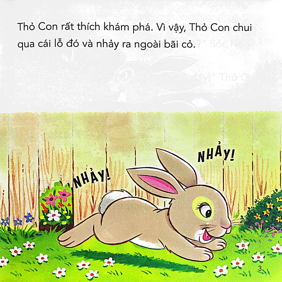 Những Câu Chuyện Tình Bạn - Thỏ Con Và Vịt Con