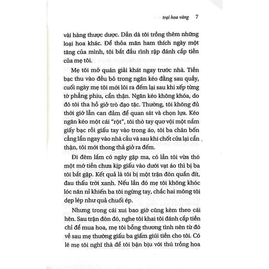 Trại Hoa Vàng - Nguyễn Nhật Ánh (Khổ Nhỏ)