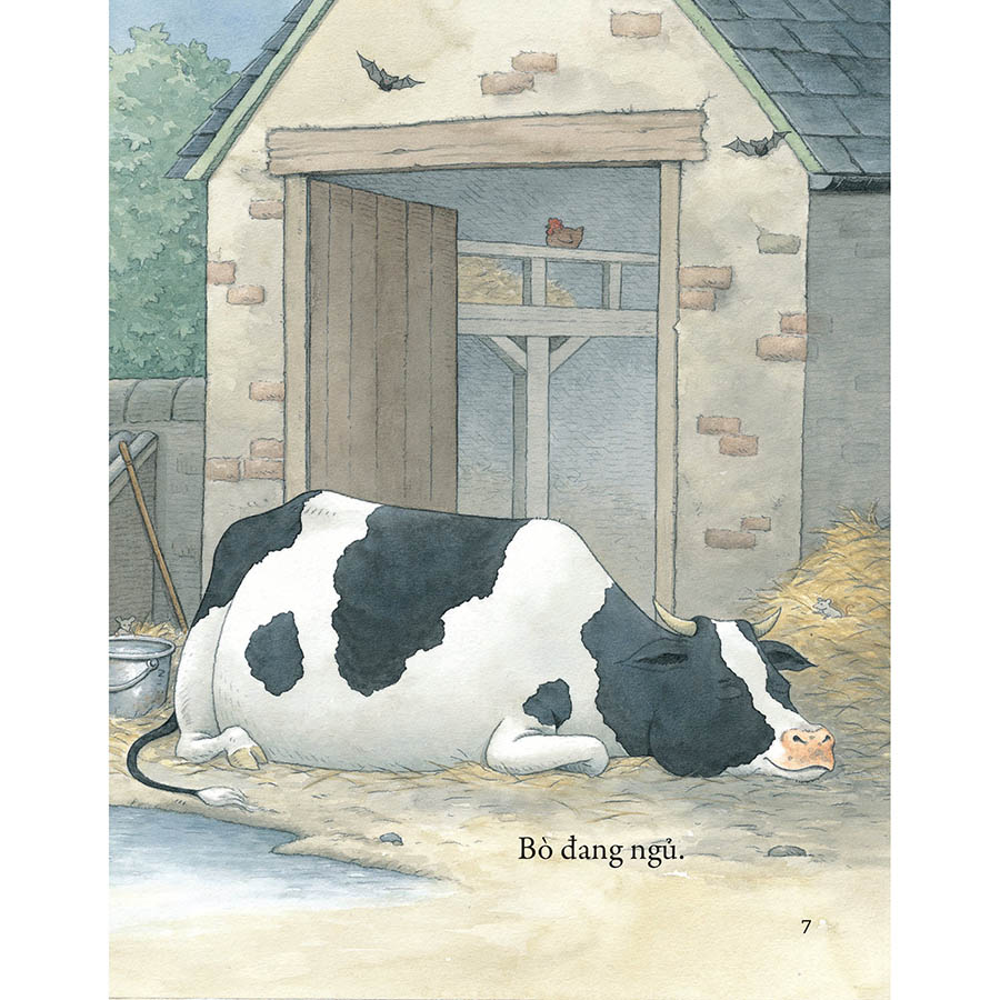 Khò Khò Khò! Ai Ngáy To Thế Nhỉ?