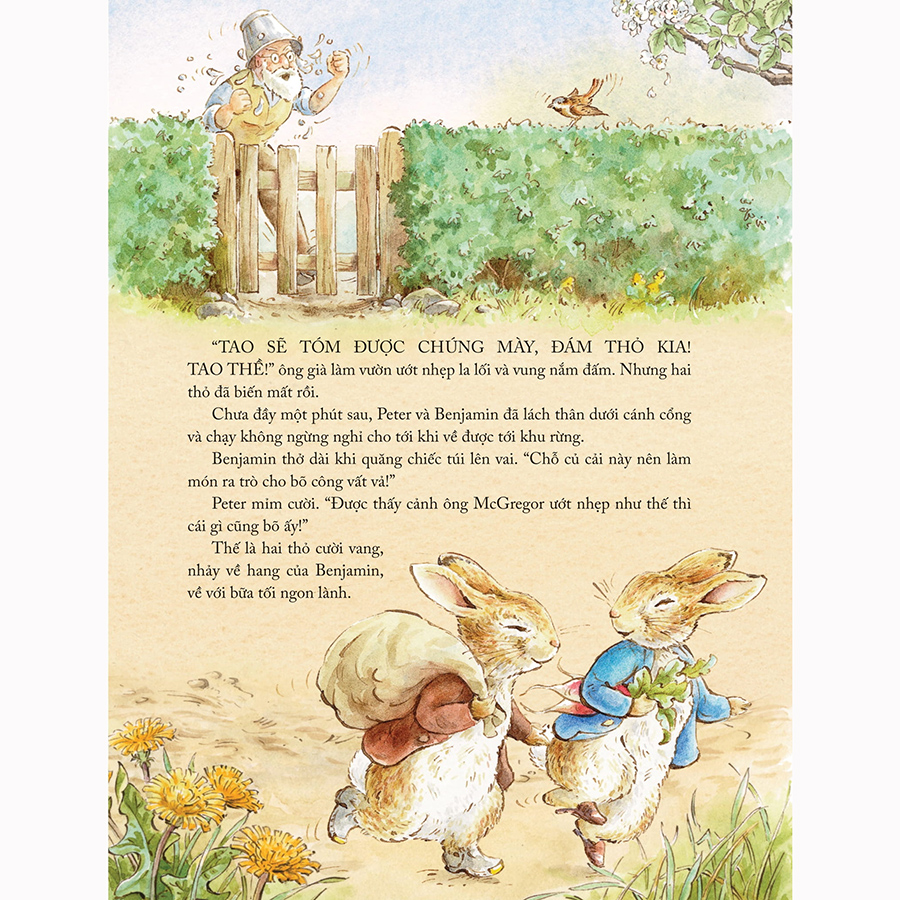 Thế Giới Của Thỏ Peter - Những Câu Chuyện Chốn Đồng Quê