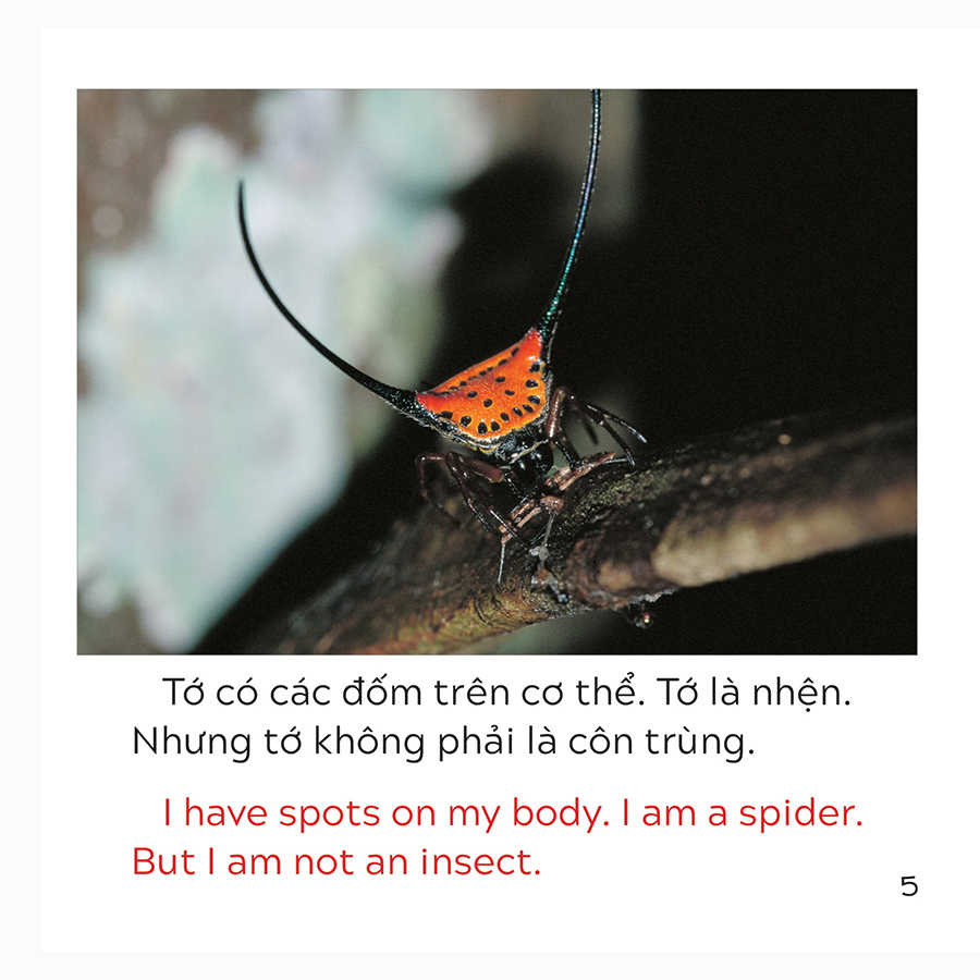 Song Ngữ Việt Anh - Khám Phá Thế Giới - Loài Nào Là Côn Trùng Nhỉ? - Who Is The Insect?