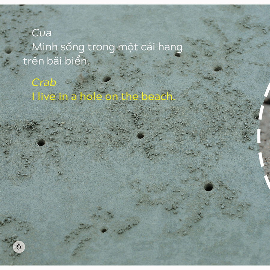 Song Ngữ Việt Anh - Khám Phá Thế Giới - Bạn Sống Ở Đâu Thế? - Where Do You Live?