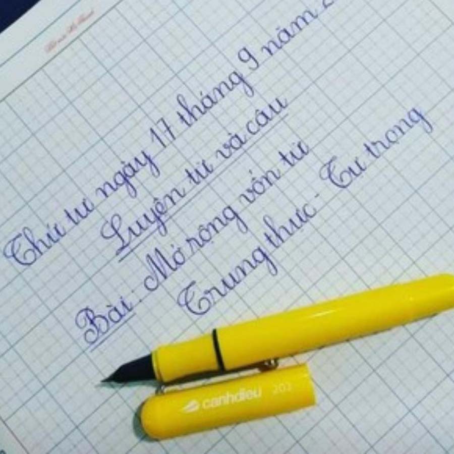 Bút Máy Cánh Diều 202 Vỏ Trơn