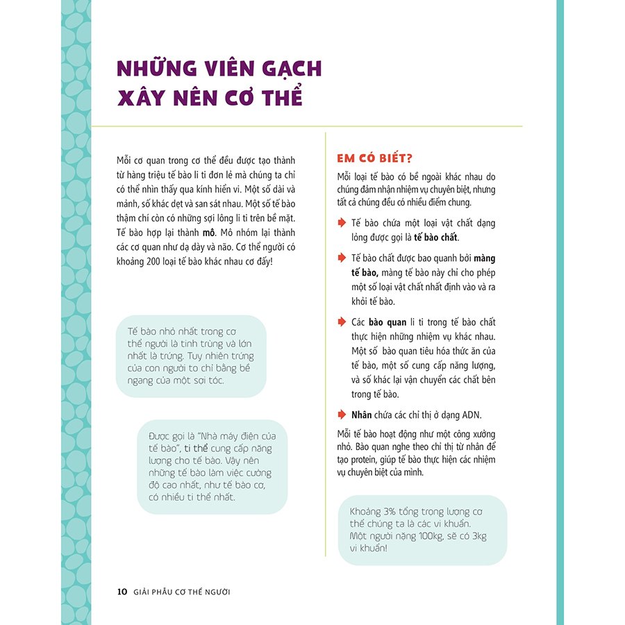 Tớ Muốn Biết Tuốt - Giải Phẫu Cơ Thể Người
