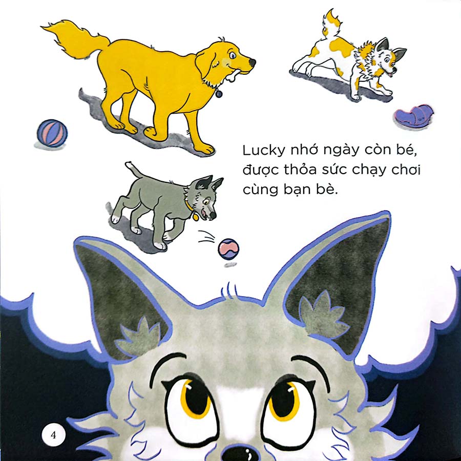 Thiên Nhiên Kỳ Thú - Sói Xám Chờ Trăng