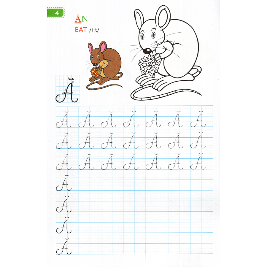 Tập Viết Chữ Đẹp & Tô Màu - Kiểu Chữ Hoa - Khổ Nhỏ