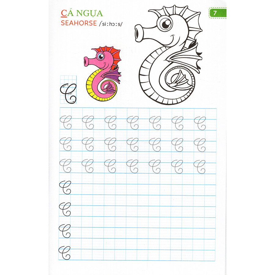 Tập Viết Chữ Đẹp & Tô Màu - Kiểu Chữ Hoa - Khổ Nhỏ