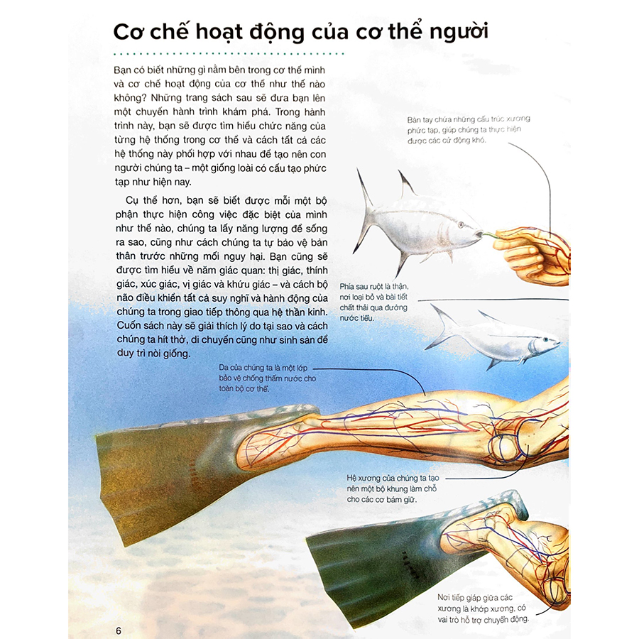 Hành Trình Khám Phá - Cơ Thể Người
