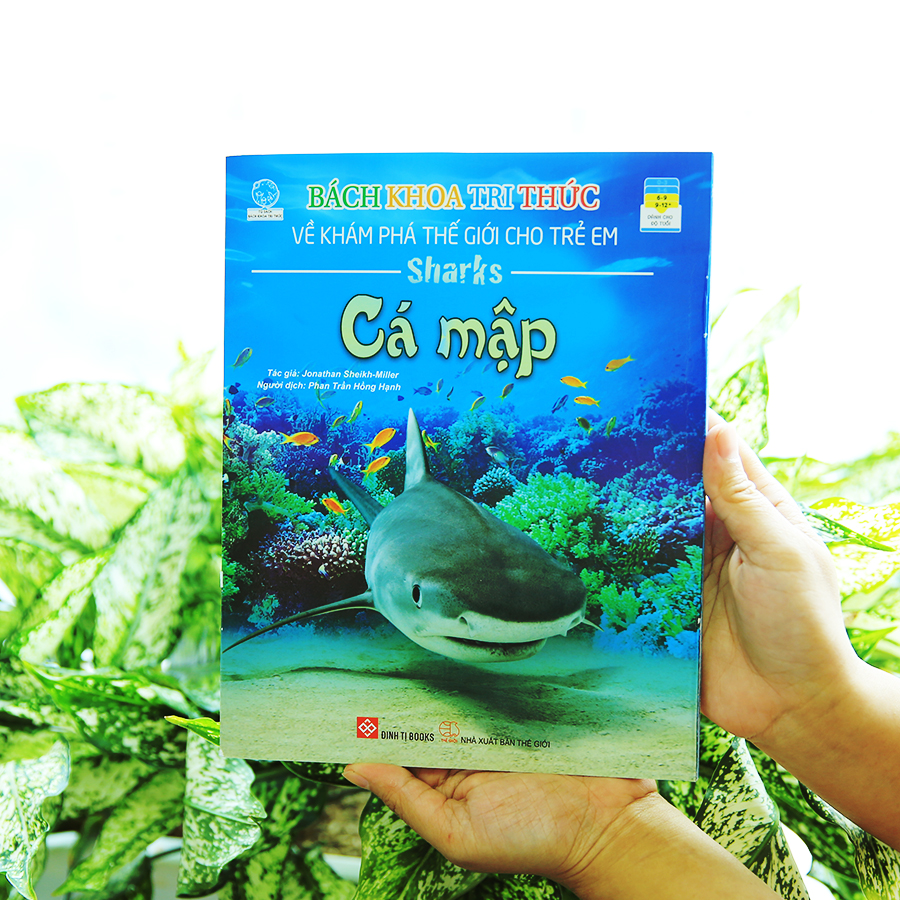 Bách Khoa Tri Thức Về Khám Phá Thế Giới Cho Trẻ Em - Cá Mập