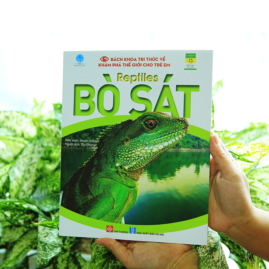 Bách Khoa Tri Thức Về Khám Phá Thế Giới Cho Trẻ Em - Reptiles - Bò Sát