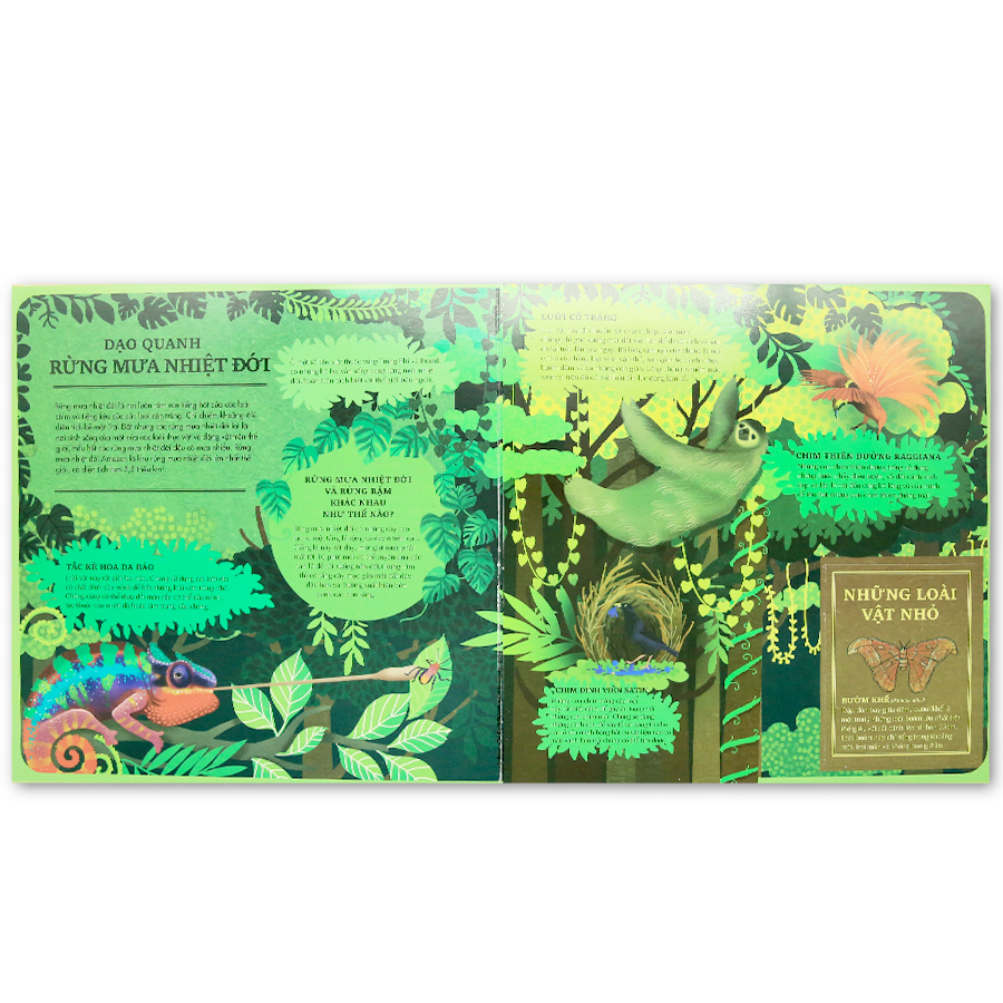 Atlas Đa Tương Tác Về Động Vật Hoang Dã - Wilderness: An Interactive Atlas Of Animals