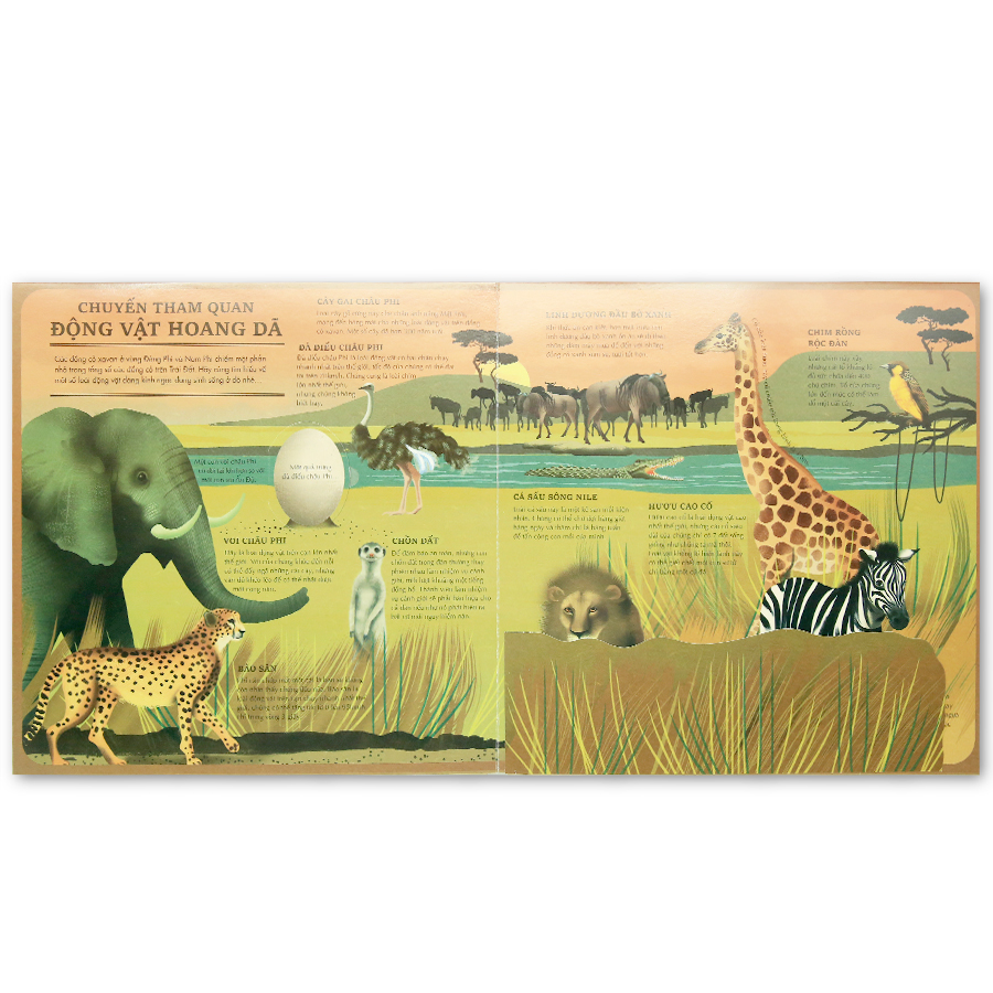 Atlas Đa Tương Tác Về Động Vật Hoang Dã - Wilderness: An Interactive Atlas Of Animals