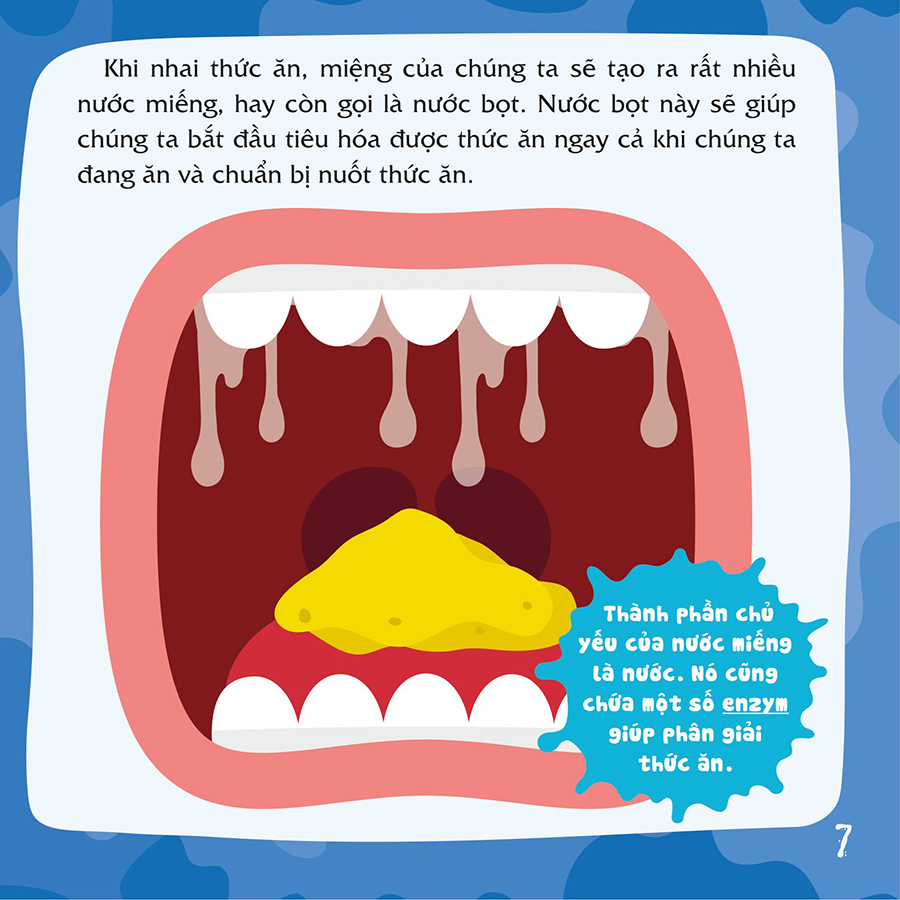 Có Thể Bạn Chưa Biết - Vì Sao Chúng Ta... Chảy Nước Miếng?
