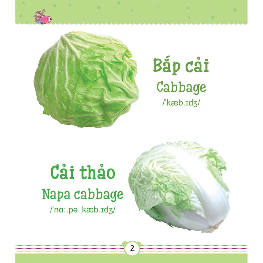 Từ Điển Bằng Tranh Dành Cho Trẻ Em - Rau Củ