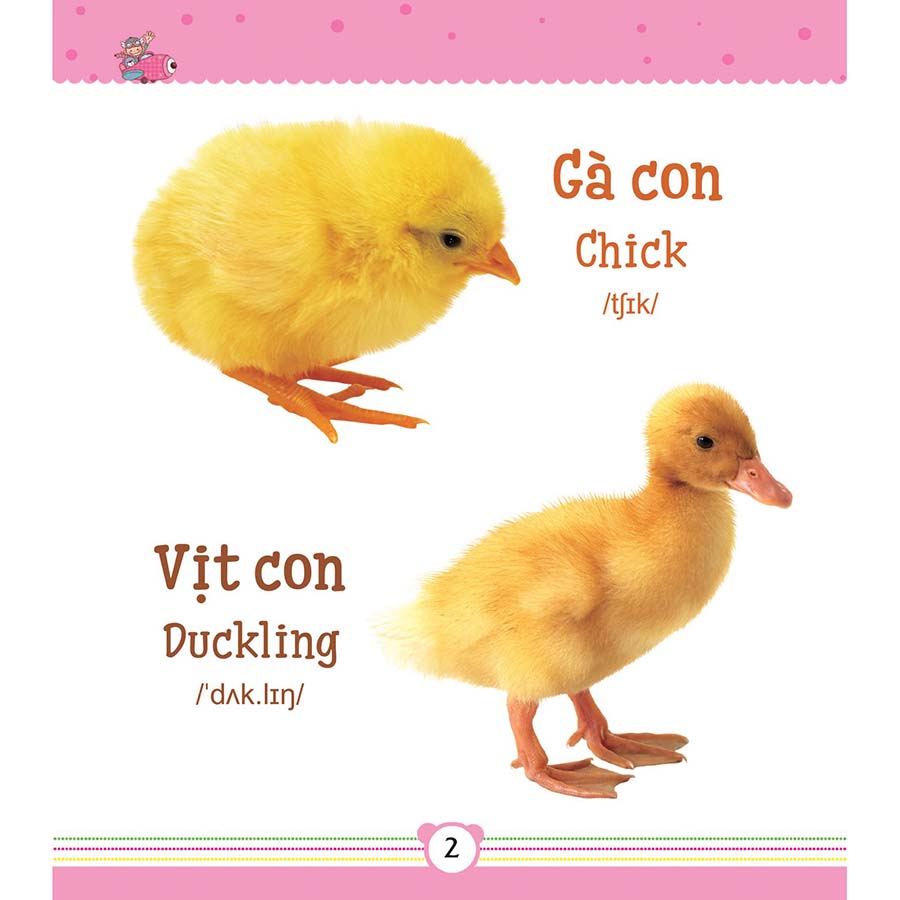 Từ Điển Bằng Tranh Dành Cho Trẻ Em - Động Vật