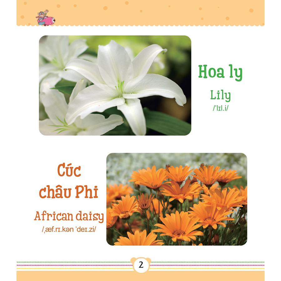 Từ Điển Bằng Tranh Dành Cho Trẻ Em - Các Loài Hoa