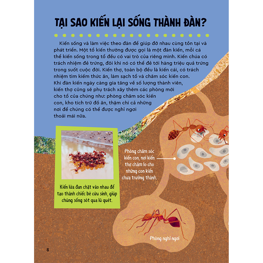 Bách Khoa Thư Britannica Dành Cho Trẻ Em - Cuốn Sách Khổng Lồ Giải Đáp 100++ Câu Hỏi Tại Sao Hóc Búa