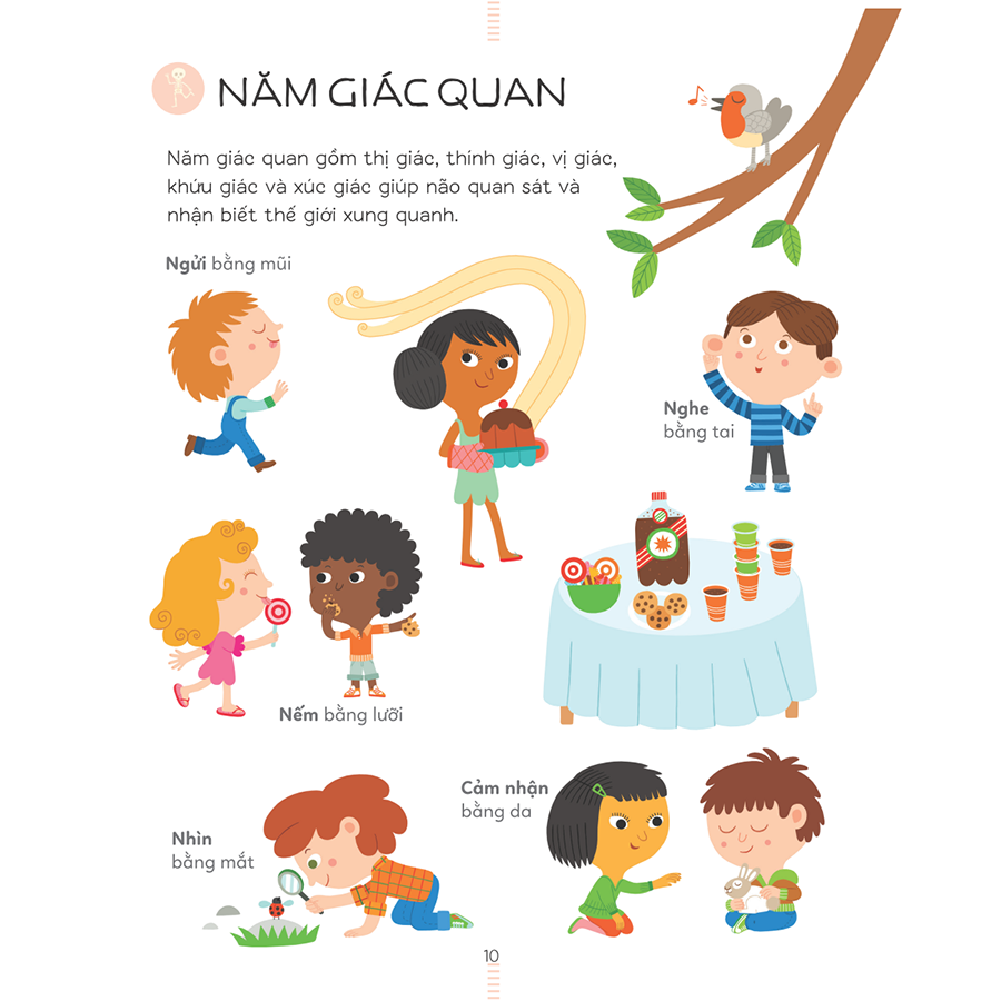 Bách Khoa Thư Tiểu Học Larousse - Cuộc Sống Quanh Em