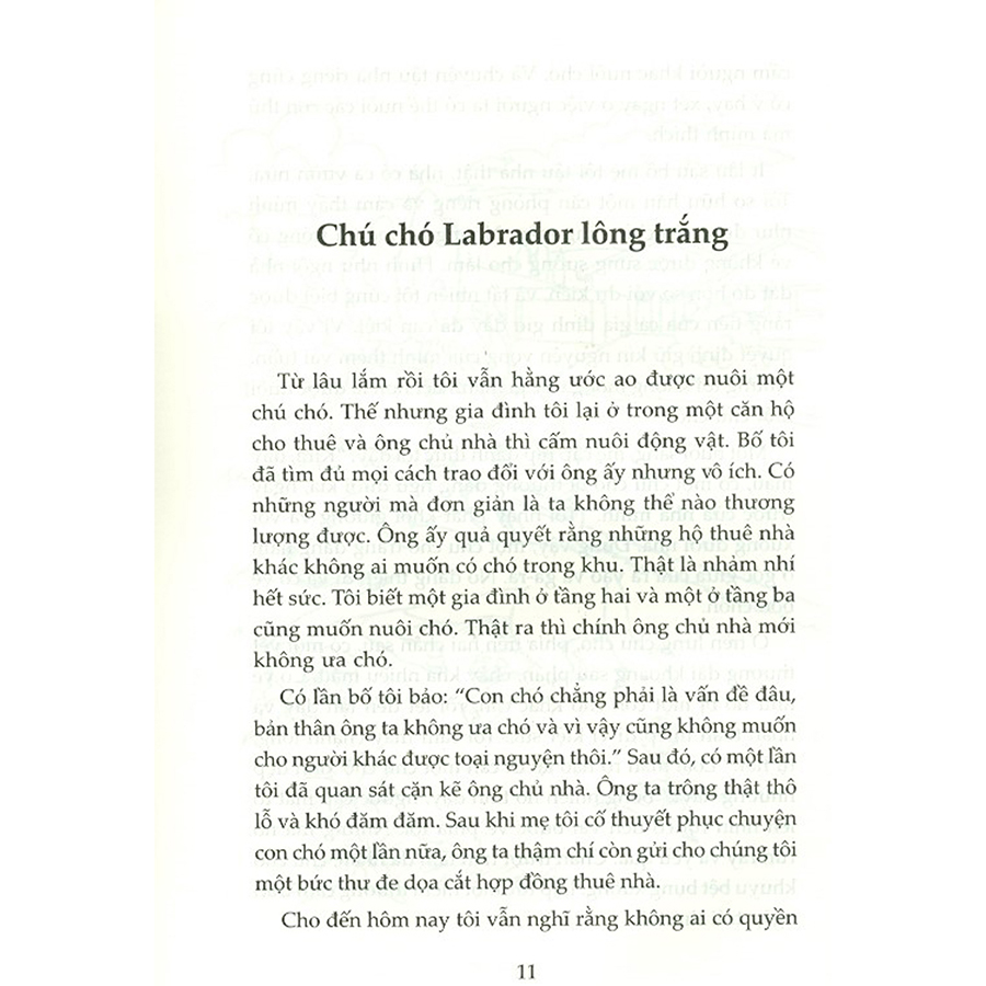 Thành Công Kí Sự Của Kira - Tiền Đẻ Ra Tiền
