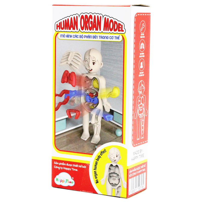 Xếp Hình 3D Montessori: Mô Hình Giải Phẫu Sinh Học Cơ Thể Người 7189