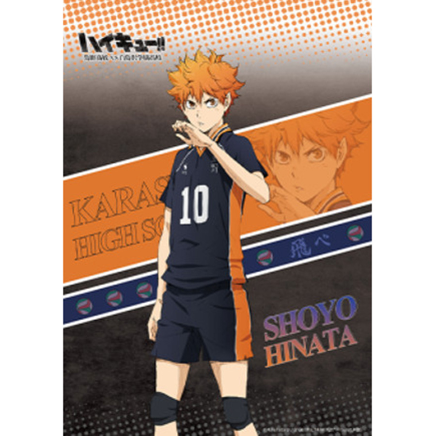 Tấm Trang Trí Haikyuu - Shoyo Hinata XH15