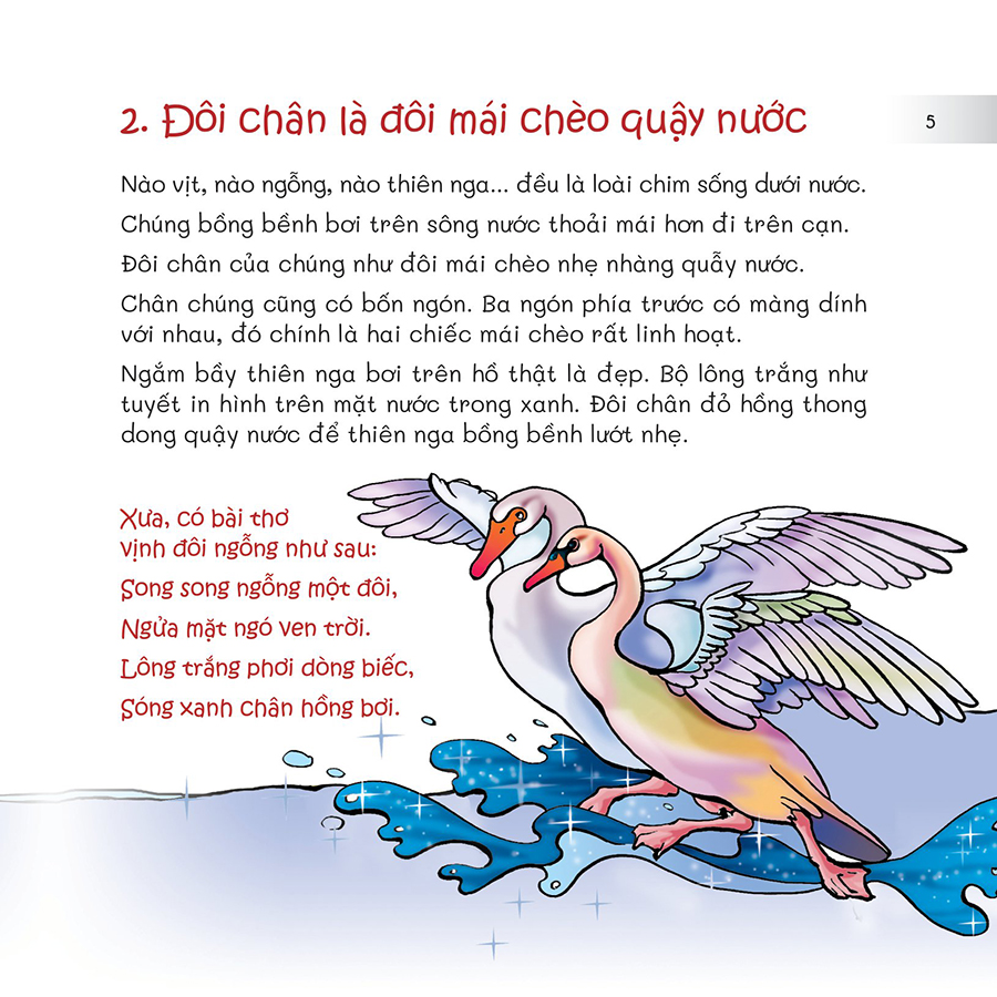 Chuyện Lạ Loài Vật - Nhìn Chân, Nhìn Mỏ Biết Rõ Chim Gì