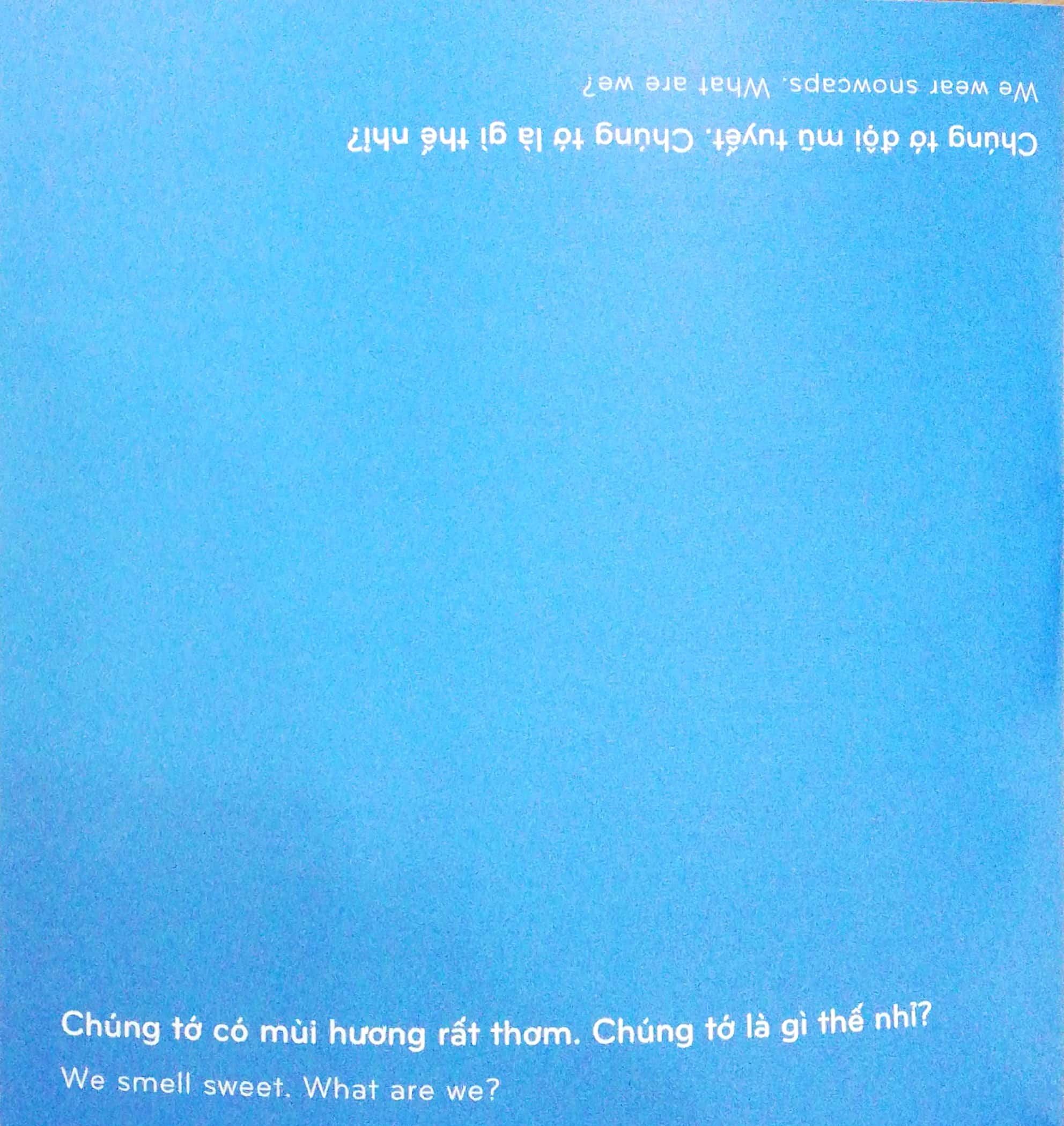 Ehon Song Ngữ - Kururinpa 2: Đây Là Cái Gì? - What Is This?