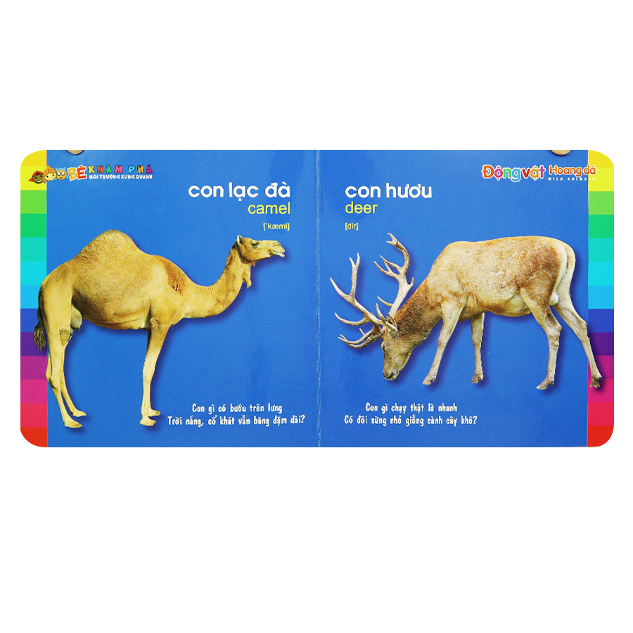 Bé Khám Phá Môi Trường Xung Quanh - Động Vật Hoang Dã