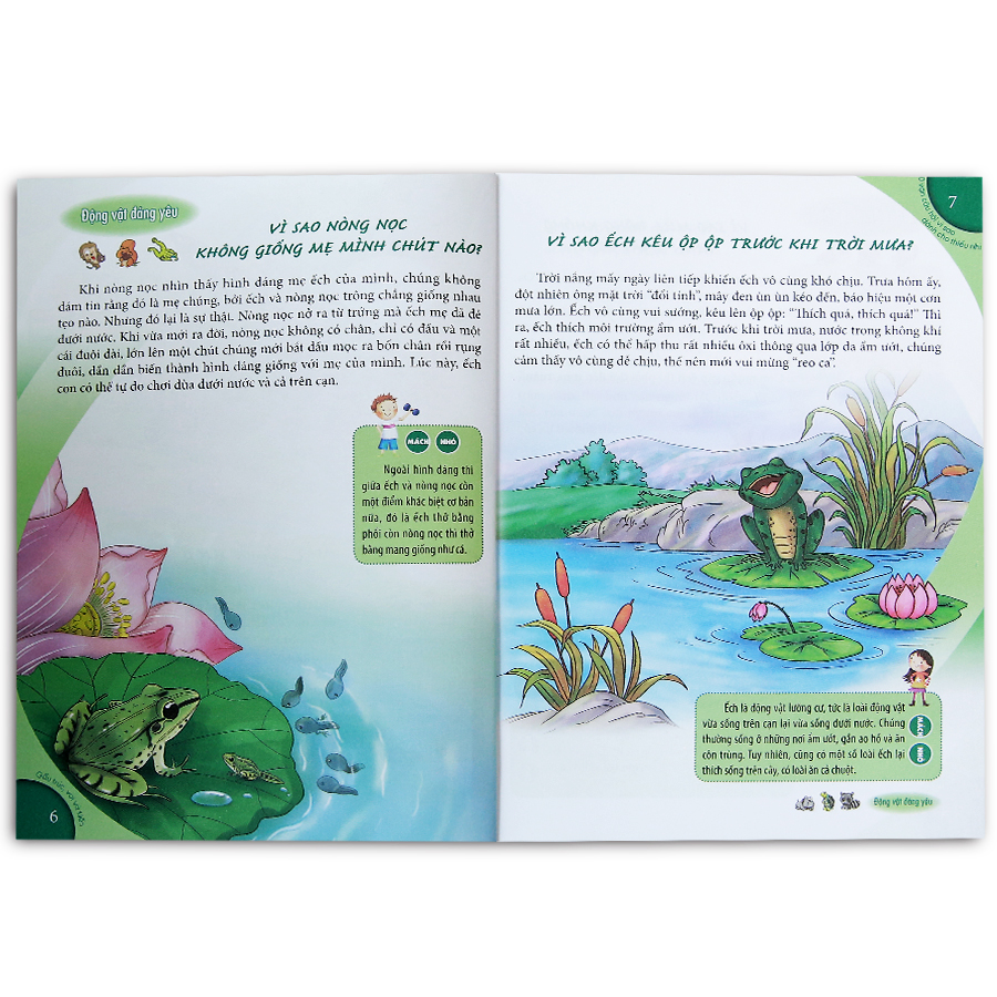 10 Vạn Câu Hỏi Vì Sao Dành Cho Thiếu Nhi - Gấu Trúc, Voi Và Kiến