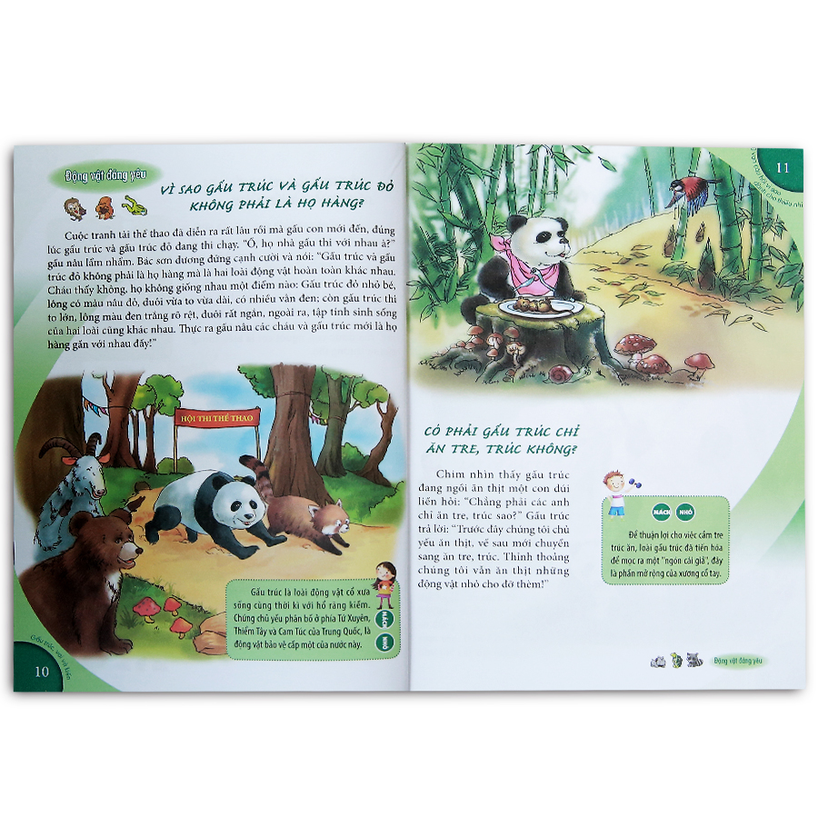 10 Vạn Câu Hỏi Vì Sao Dành Cho Thiếu Nhi - Gấu Trúc, Voi Và Kiến